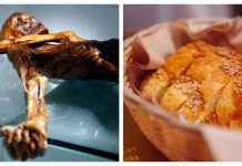 ¿Lo comerías? Científicos hacen pan con levadura hallada en una momia… ¡de hace 5 mil años!