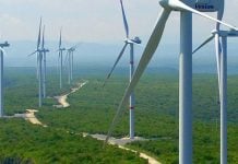Eólica en Tamaulipas: beneficios… y abusos
