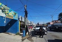 Retiran 293 cámaras de videovigilancia irregulares en Tamaulipas