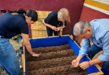 Gobierno municipal invita al taller ‘Manos a la Tierra’ para fomentar el cuidado del medio ambiente