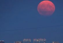 Luna de Fresa: cuándo y a qué hora ver el fenómeno astronómico en México; aquí te lo decimos