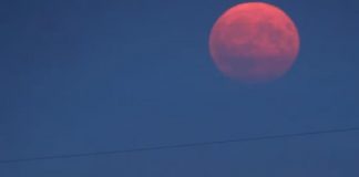 Luna de Fresa: cuándo y a qué hora ver el fenómeno astronómico en México; aquí te lo decimos