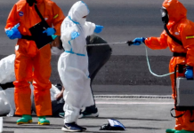 Reino Unido confirma paciente con hantavirus que viajó en el crucero MV Hondius