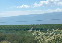 Pleito entre productores de limón y ejidatarios quedó atrás