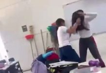 Estudiantes arman pelea campal entre compañeras en secundaria de Guanajuato, autoridades investigan | VIDEO