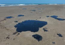 Tamaulipas, segundo en suelo contaminado