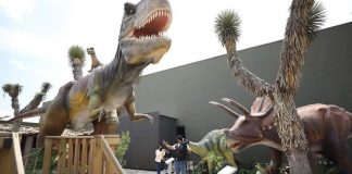 Dinofrontera llega a Nuevo Laredo con una experiencia prehistórica para toda la familia