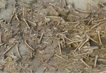 Descubren 77 esqueletos sin cabeza de hace 7 mil años; las cabezas desaparecieron sin dejar rastro