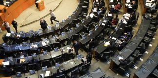 Comienza la desbandada: 11 legisladores de la 4T piden licencia para ir por gubernaturas en 2027