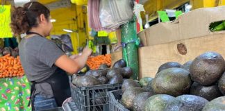 Reportan NUEVO aumento en el costo del aguacate en Tampico en menos de una semana