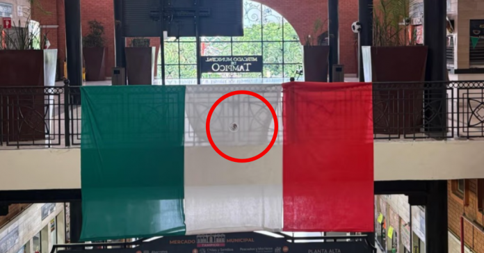 ¿Calcaron la moneda de un peso?: Megabandera de México en Tampico se vuelve viral y detona polémica por su miniescudo