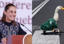Sheinbaum anuncia que invitará a Merlín a la Mañanera