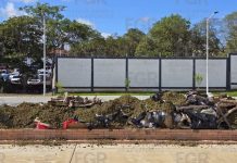 Incineran más de 940 kilos de narcóticos en Nayarit