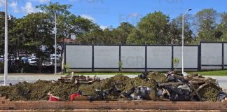 Incineran más de 940 kilos de narcóticos en Nayarit