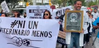 ¡No nos maten! Veterinarios protestan en todo México por asesinato de Héctor Hérnandez