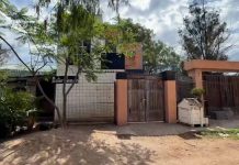 Rescatan decenas de perros desnutridos y hallan cadáveres en criadero clandestino de San Luis Potosí