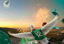 FIFA anuncia al pato Merlín como embajador oficial