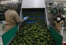 Actividad económica de México avanza 2.3% interanual en abril: Inegi