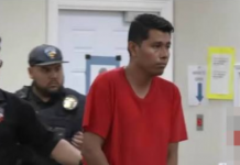 Fuerte fianza para conductor acusado de choque y lesiones tras accidente en Alamo