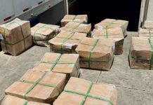 Aseguran cargamento de tepezcohuite; se dirigía a Gran Bretaña