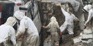 Millones de abejas invaden una ciudad de Texas tras volcar un camión con colmenas