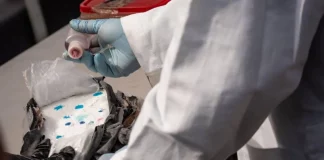 México es uno de los mayores productores de opioides del mundo, según informe de la ONU
