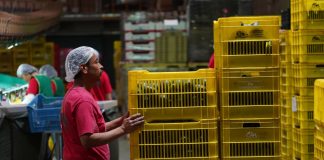 Se enfría empleo en México: cae 1.5%, aunque sueldos suben 2.6%, reporta Inegi