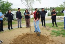 Impulsan reforestación en Nuevo Laredo; suman más de 4 mil 600 árboles plantados