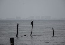 Alertan por posible ciclón tropical en el Pacífico; estos estados podrían verse afectados