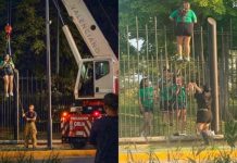 Intentó entrar al Fan Fest y se atoró en valla; la rescataron con grúa