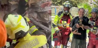 Video viral: personal del Ejército Mexicano rescata a una perrita entre los escombros en Venezuela