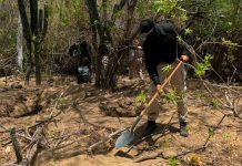 Descubren dos fosas clandestinas en San José del Cabo, en Baja California Sur