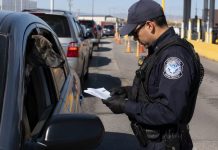 Informan nuevos requisitos para mascotas que crucen de México a Estados Unidos