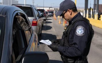 Informan nuevos requisitos para mascotas que crucen de México a Estados Unidos