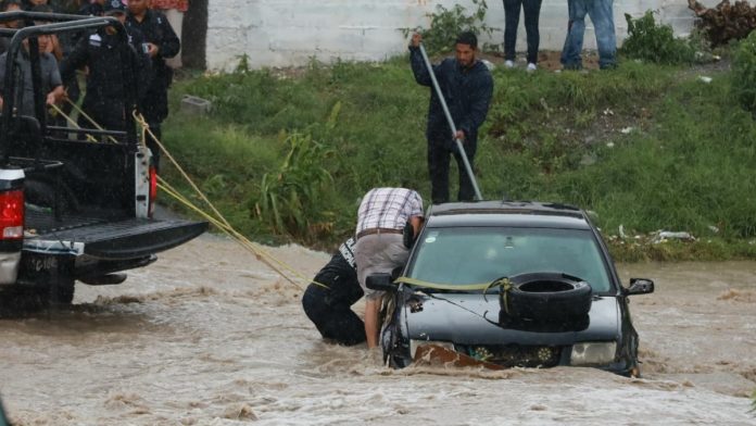 imagen-80-012649