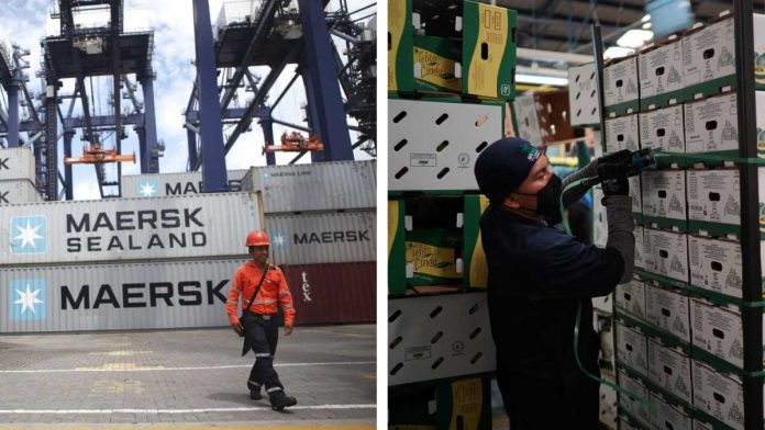 exportaciones-de-mexico-a-ee.-uu.-rompen-record-131528