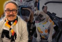 Pedro Sola dice que le dan ganas de “envenenar” a los perritos que entran a las tiendas: “No los tolero” | VIDEO