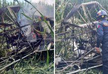 Avioneta se desploma y se incendia en Querétaro; piloto sale ileso