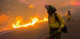 Incendio forestal en España deja al menos 12 fallecidos; mayoría de las víctimas mortales podrían ser extranjeros