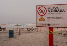 Cofepris declara cinco playas en México no aptas para vacacionar por contaminación bacteriana