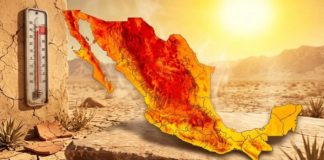 Estas son las diferencias entre una Onda de Calor y la Canícula; así afectarán a México