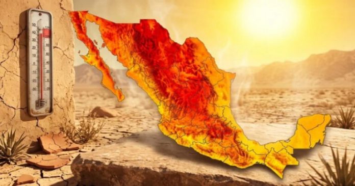 Y CLIMA