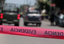 México registra 275 homicidios en segunda semana de julio; Guanajuato encabeza cifras con 22