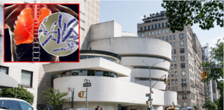 ¿Qué es la Legionela? Nueva York alerta por brote de Legionela: 59 casos y 15 hospitalizados en Manhattan