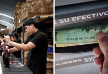 Hay más personas con trabajo, pero el salario alcanza para menos: OCDE
