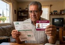 Estos son los requisitos para acceder al aguinaldo del INAPAM que confirmó Claudia Sheinbaum