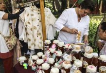 Solo 15.9% de las mujeres emprendió en la formalidad; 20 estados retrocedieron en 2025