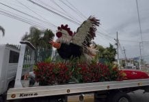 Tumba del “Mencho” recibe visitas y arreglos monumentales en el día de su cumpleaños 60