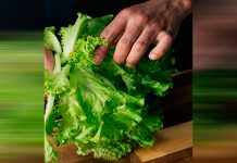 Culpan a lechuga mexicana por ‘diarrrea explosiva’ en EEUU