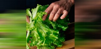 Culpan a lechuga mexicana por ‘diarrrea explosiva’ en EEUU